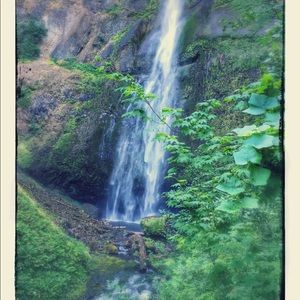 Meet your Posher, Tom